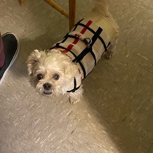 Meet your Posher, Chantell